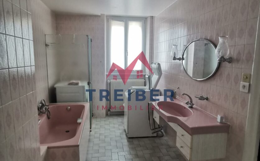 Maison Belfort proche centre ville sur sous sol, garage, terrain privatif de 5 ares 59