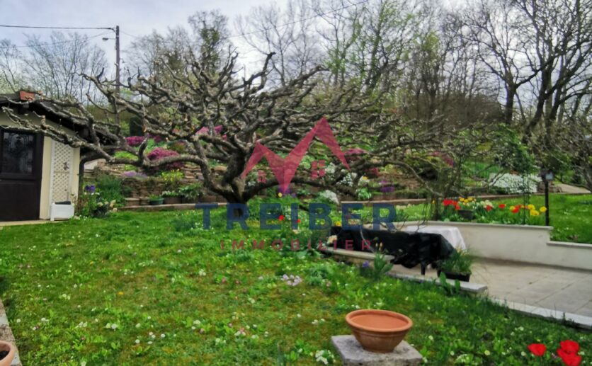 Maison Montbéliard  sur 15 ares de terrain avec sous sol et garage maison avec Treiber immobilier